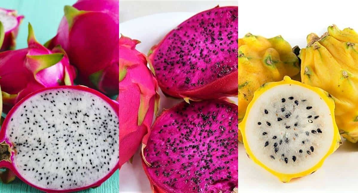 Conheça a fruta Pitaya com seus vários benefícios e formas de comer