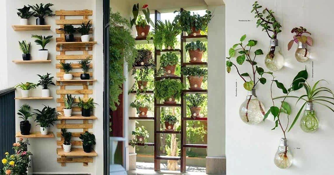 Descubra cinco novas ideias para dispor as suas plantas de decoração