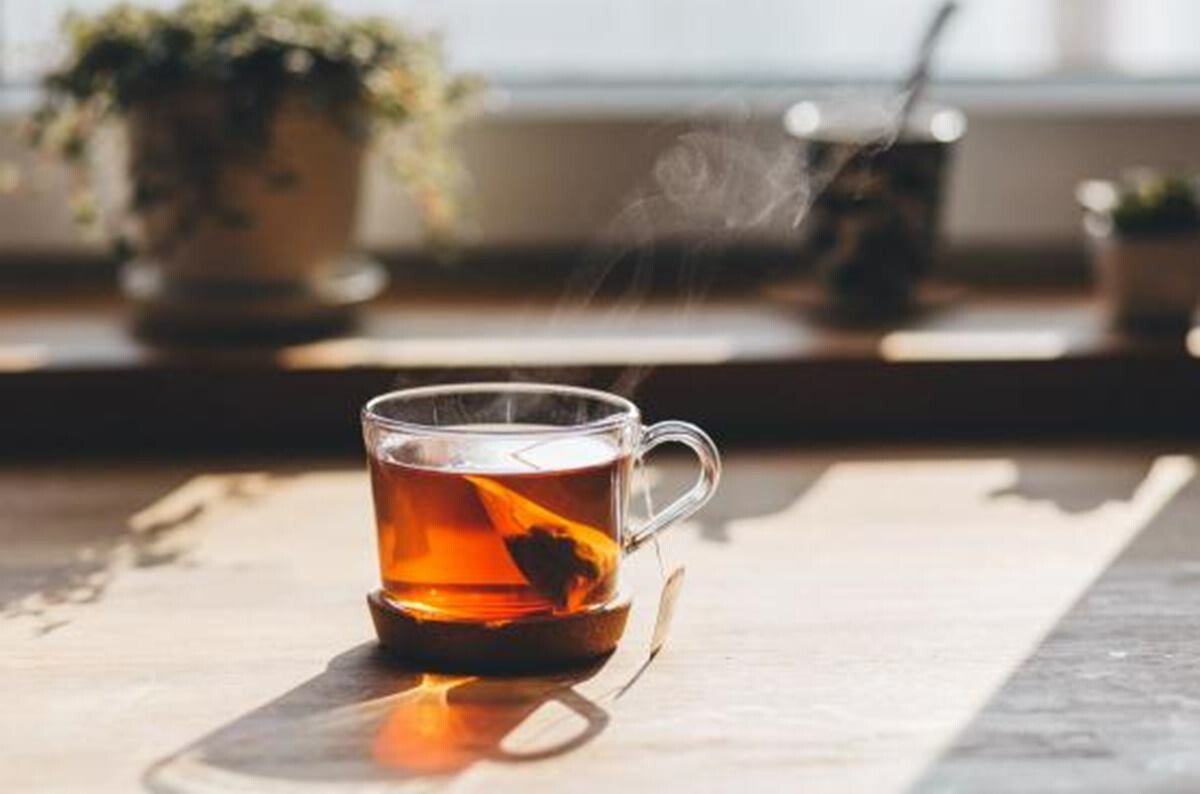 Saiba fazer remédios naturais com Chá Preto com diferentes benefícios