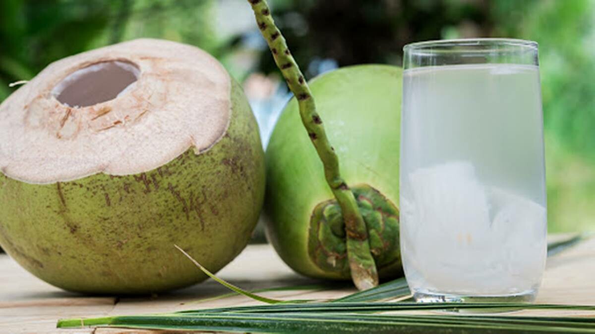 Água de Coco: Deliciosa e com dez benefícios para nossa saúde