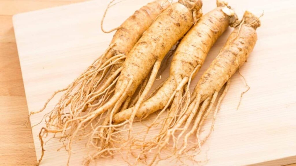Ginseng: descubra o que é, como se toma e os benefícios para saúde