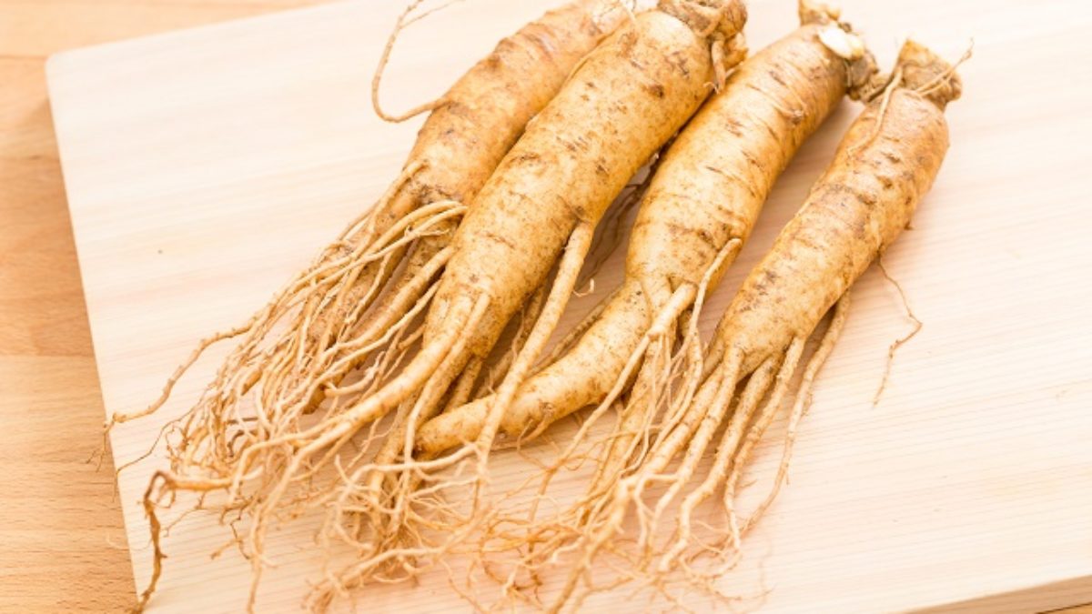 Ginseng: descubra o que é, como se toma e os benefícios para saúde