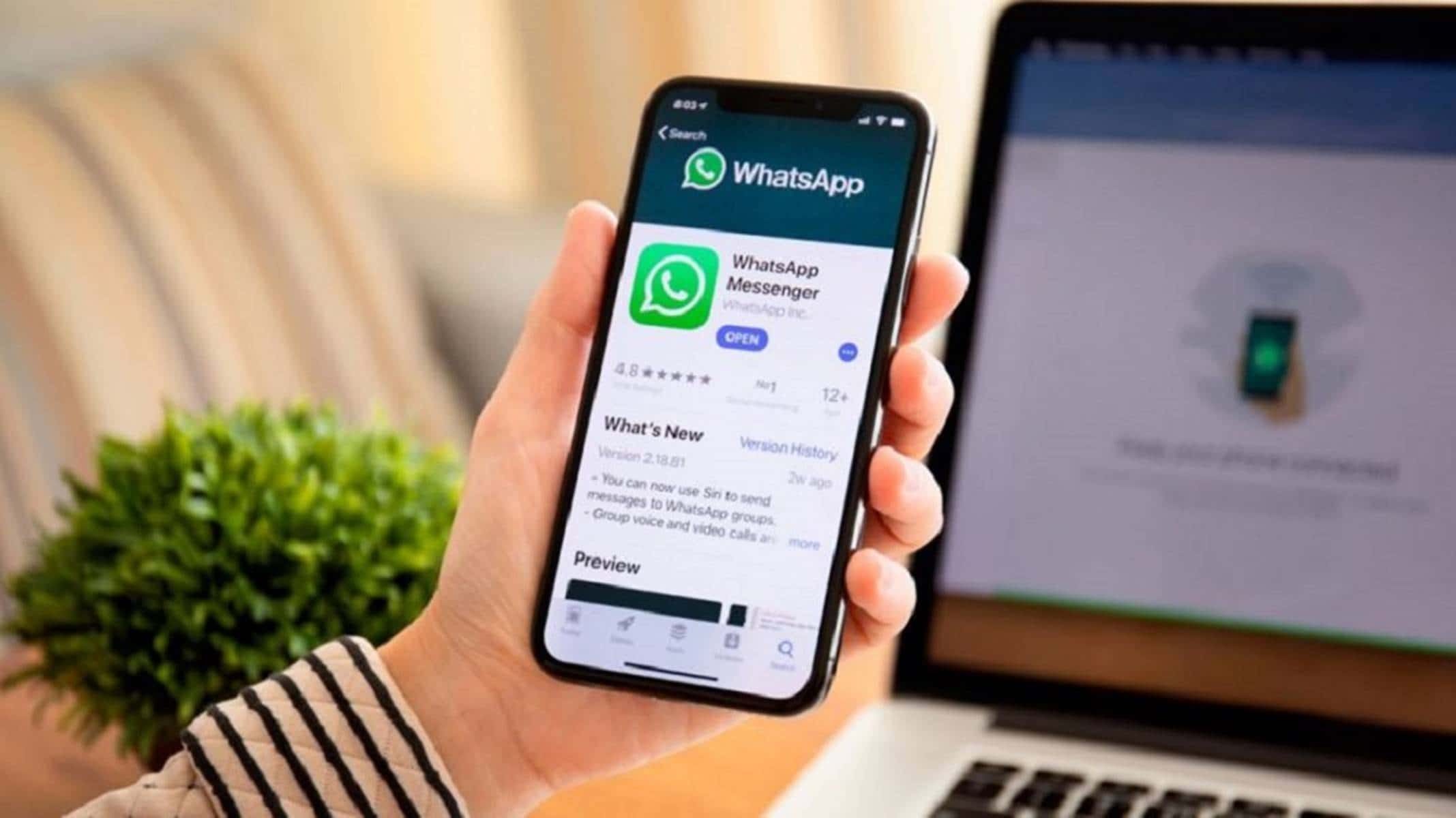 WhatsApp cria nova função em nova atualização: do que se trata