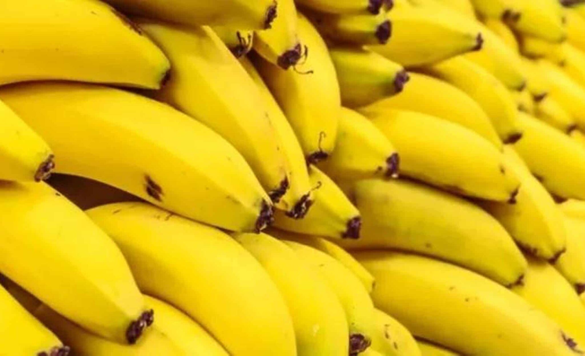 Descubra Como Amadurecer Bananas Verdes Em Uma Hora Sem Perder Os