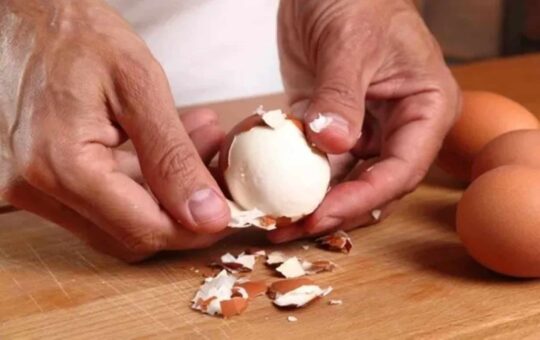 formas de fazer a cascas de ovos