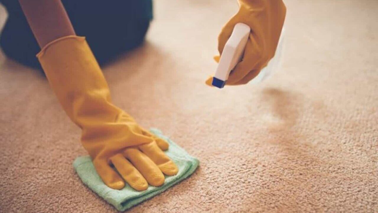 Mantenha seus tapetes impecáveis com dicas simples de limpeza a seco em casa