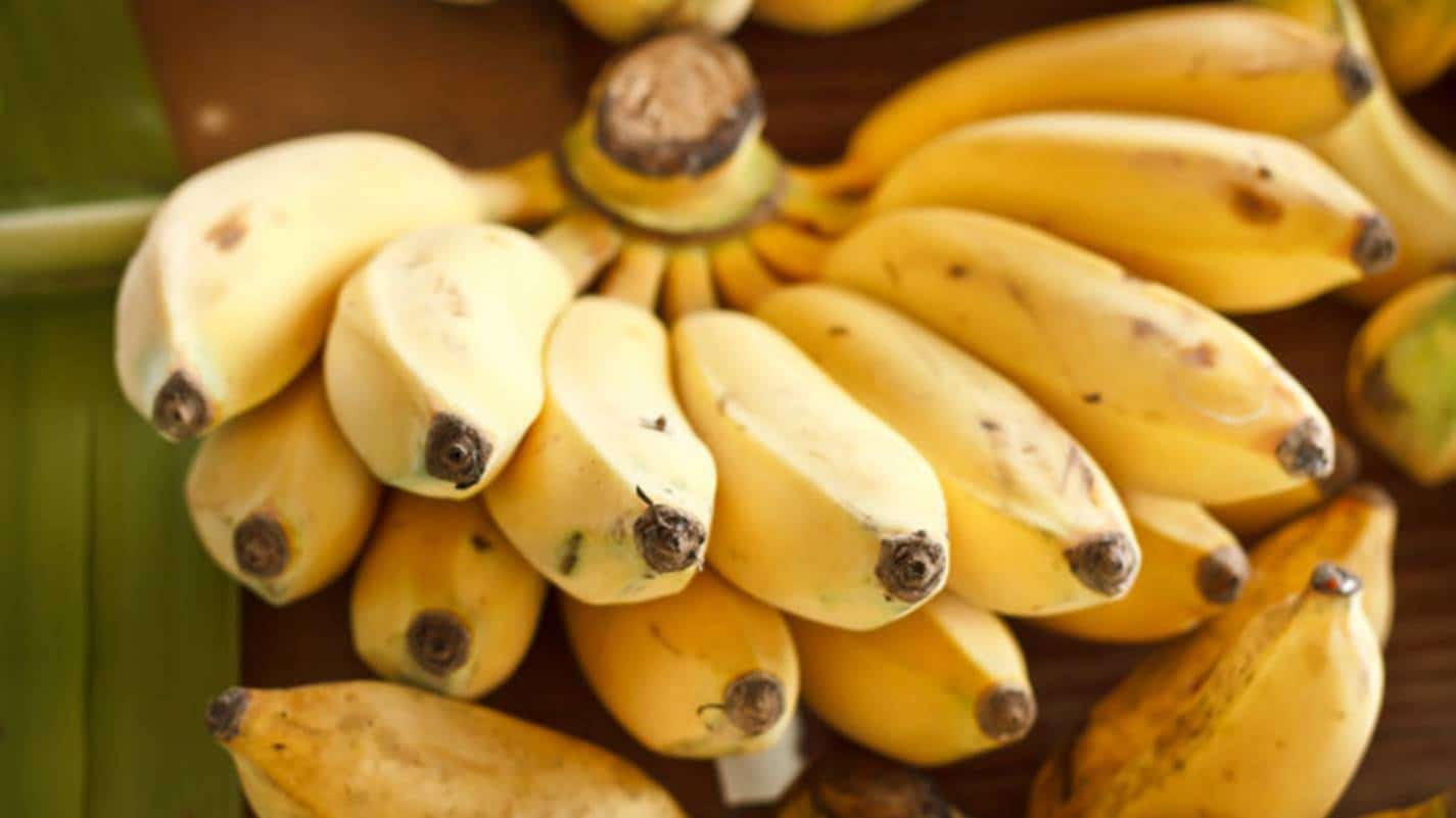 Quantas bananas você pode comer por dia? Descubra a resposta do especialista