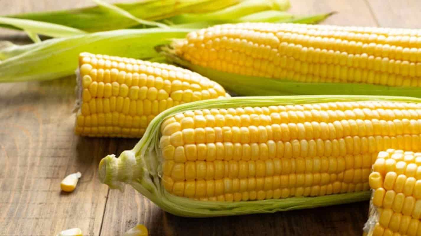 7 motivos para você comer milho todos os dias