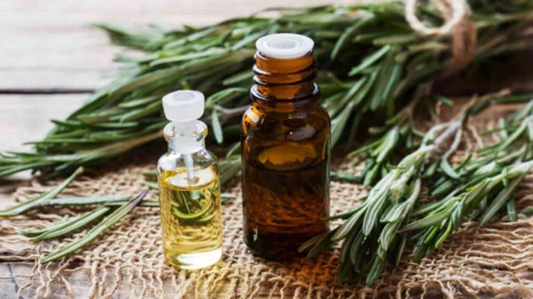 Veja como deixar sua casa cheirosa usando aromatizante cítrico com alecrim