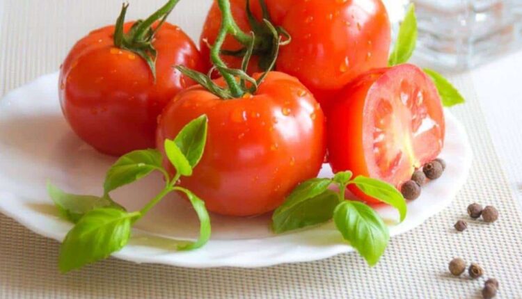 Faça um mata insetos caseiro para plantas com folhas de tomate