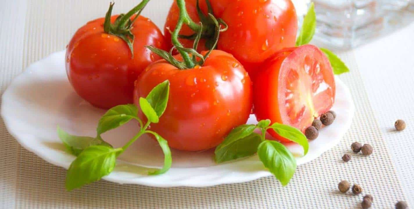 Faça um mata insetos caseiro para plantas com folhas de tomate