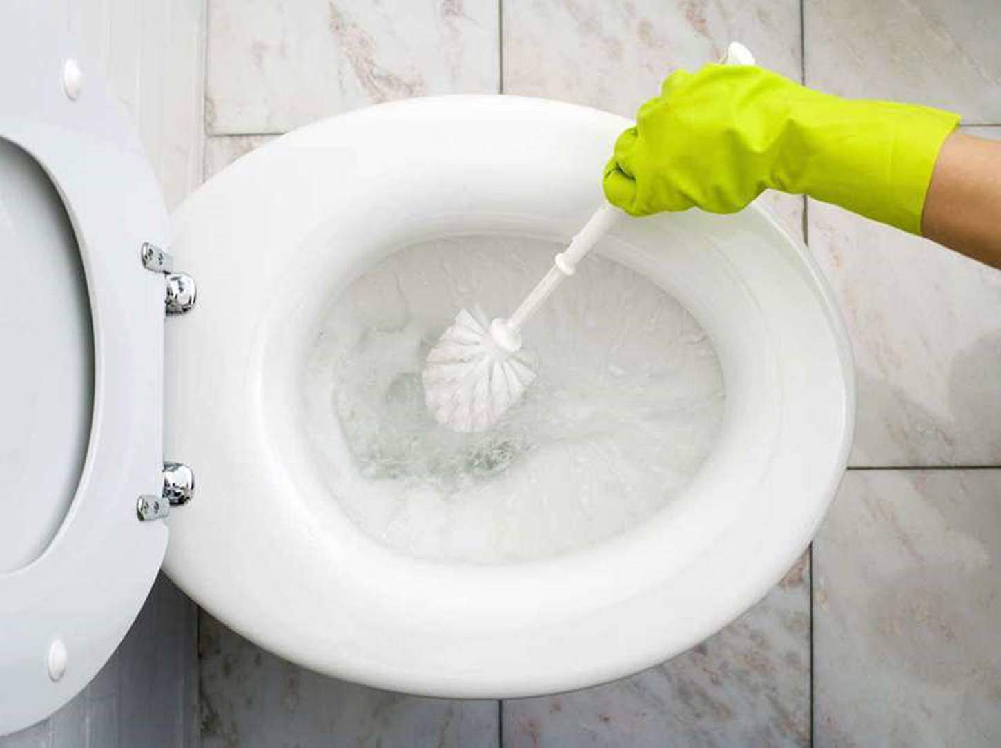 Vazo sanitário sendo limpado