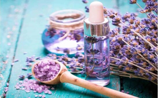 Como criar um ambiente perfumado e relaxante com lavanda