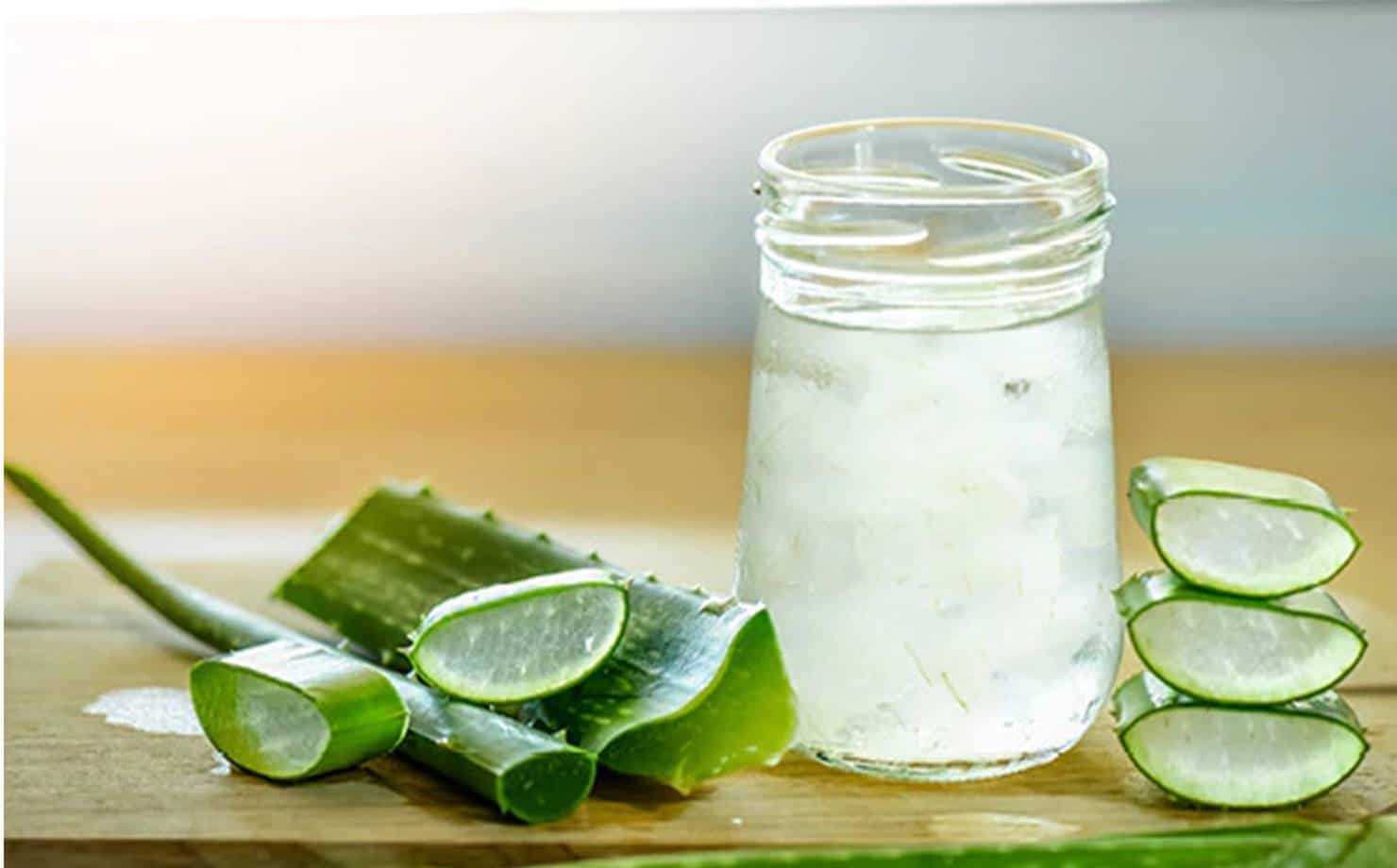 Gel e Folhas de Aloe Vera