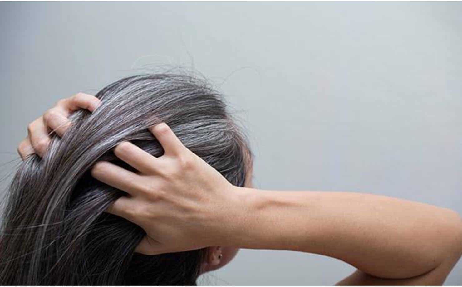 Aprenda como tonificar cabelos grisalhos sem danificá-los