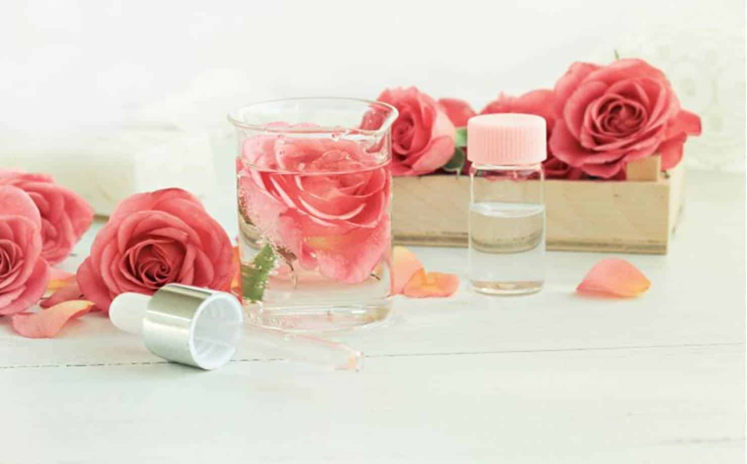 Usos da água de rosas para o rosto e cabelo que você deveria experimentar AGORA