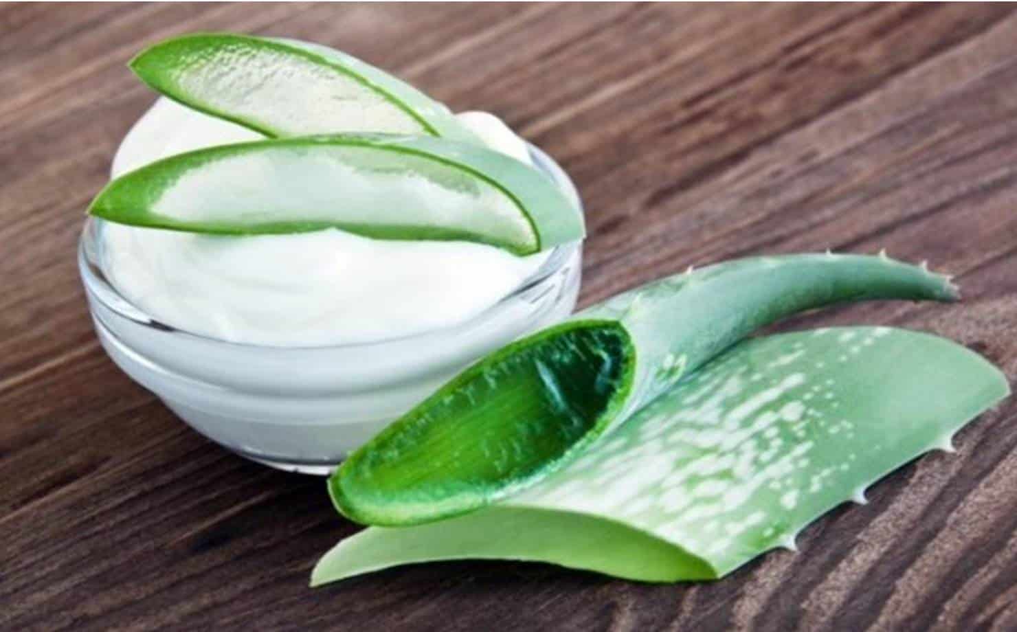 Creme caseiro de aloe vera para remoção de manchas e rugas