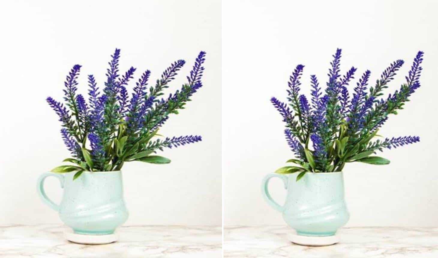 Creme de lavanda para produzir colágeno e prevenir o envelhecimento