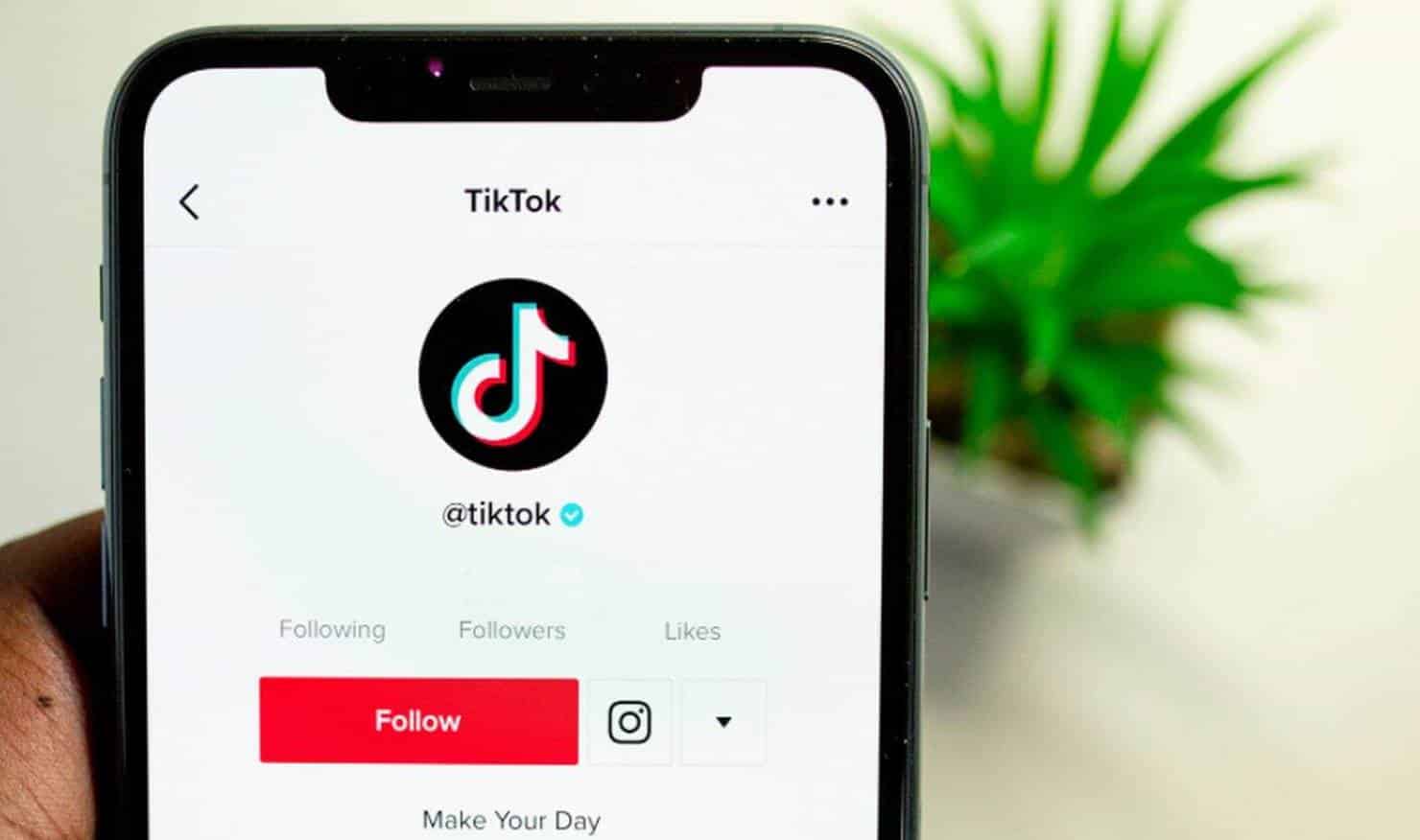 TikTok: conheça os requisitos para a rede social verificar sua conta