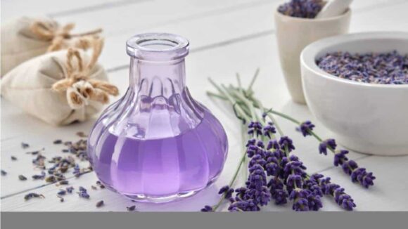 Aromatizador e Folhas de Lavanda