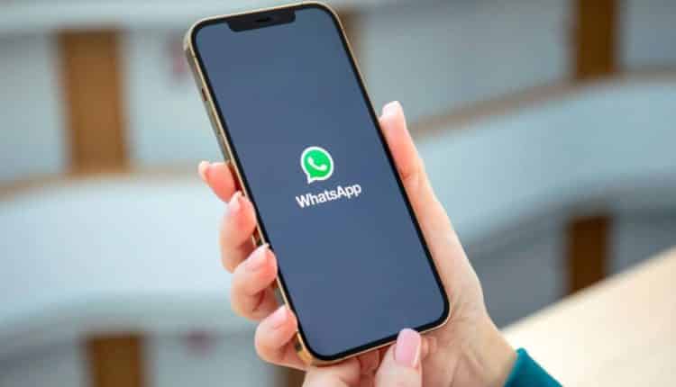 WhatsApp: aplicativo terá novas atualizações em breve