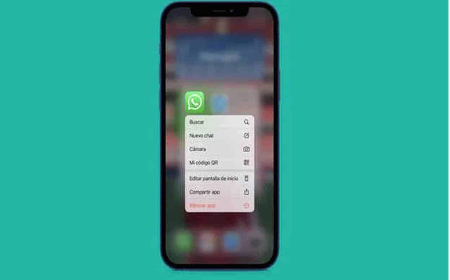 WhatsApp: Como descobrir se um contato está perto de você?