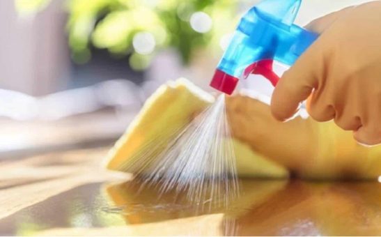 Como fazer limpador caseiro de alecrim para eliminar a poeira da casa