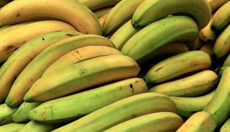 Se você comer 2 bananas por dia durante um mês vai acontecer isso com você