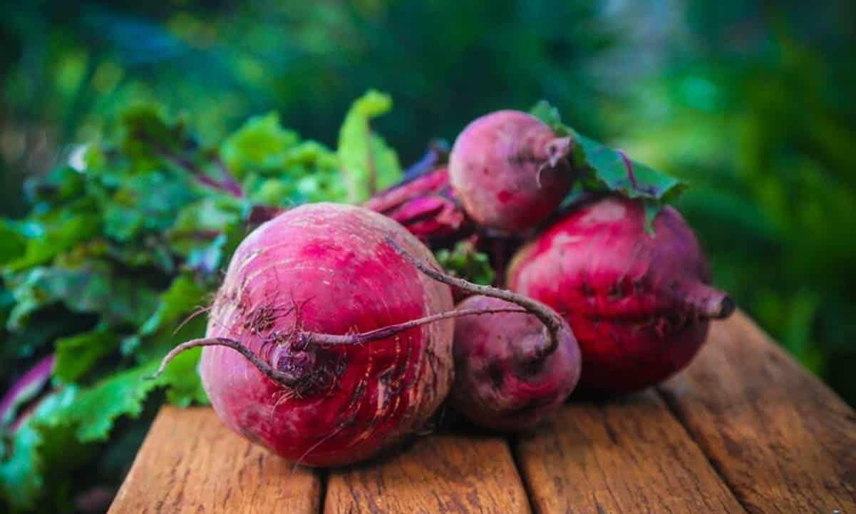 Conheça os benefícios de comer um pedacinho de beterraba todos os dias!