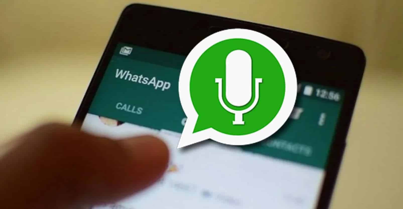 WhatsApp testa três novos recursos que podem te surpreender: quais são?