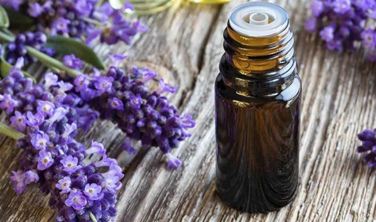Segredo para intensificar o aroma da lavanda e deixar sua casa cheirosa