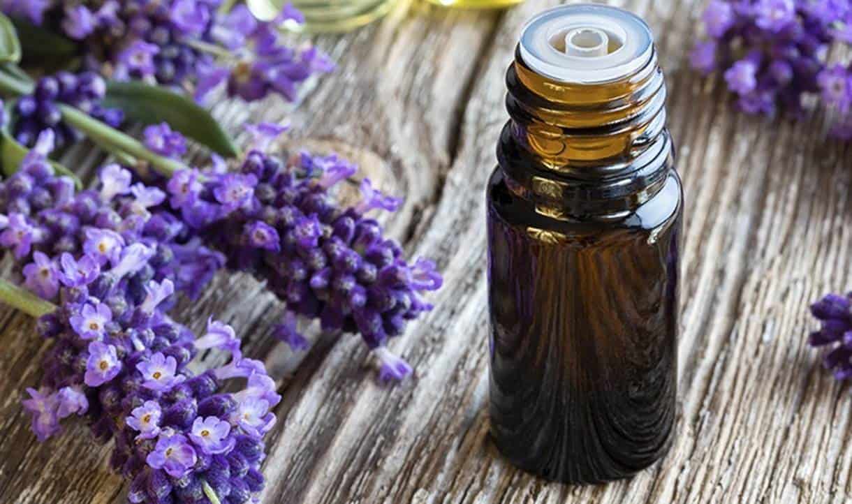 Creme de lavanda para produzir colágeno e prevenir o envelhecimento