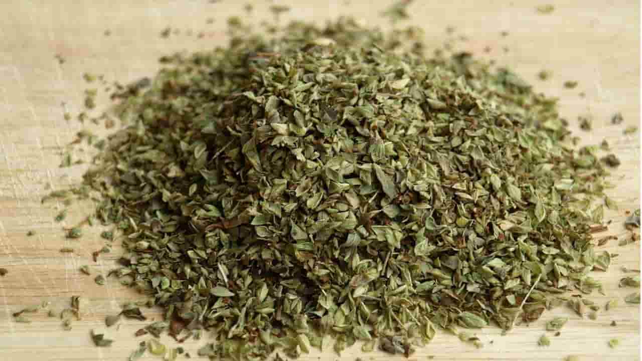 oregano