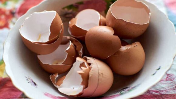 Não Jogue Fora! Veja como a casca de ovo pode facilitar a sua vida em casa