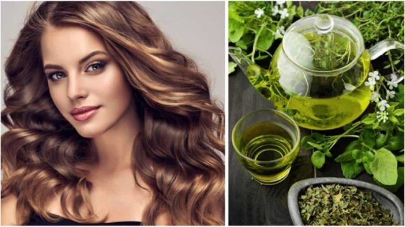 Aprenda o SEGREDO de como usar chá vede para prevenir a queda do cabelo
