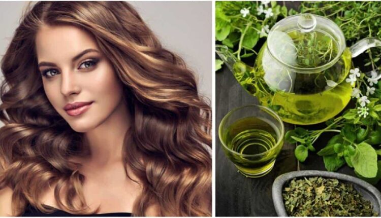 Como você pode usar o chá verde para ter cabelos longos e fortes