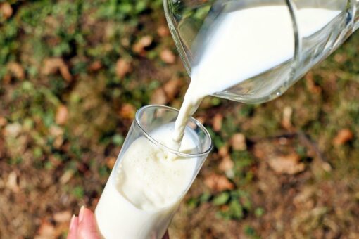 Conheça 7 formas surpreendentes de usar o leite que você nunca imaginou