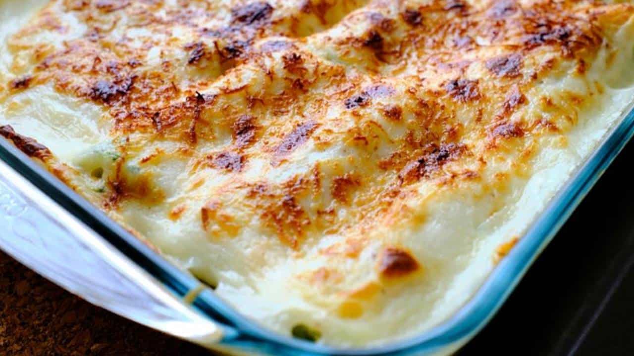 Canelones recheados com frango ao molho bechamel