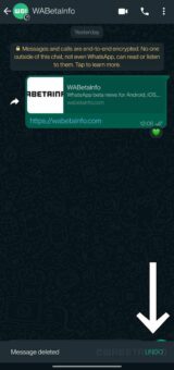 WhatsApp desenvolve função para desfazer exclusão de uma mensagem