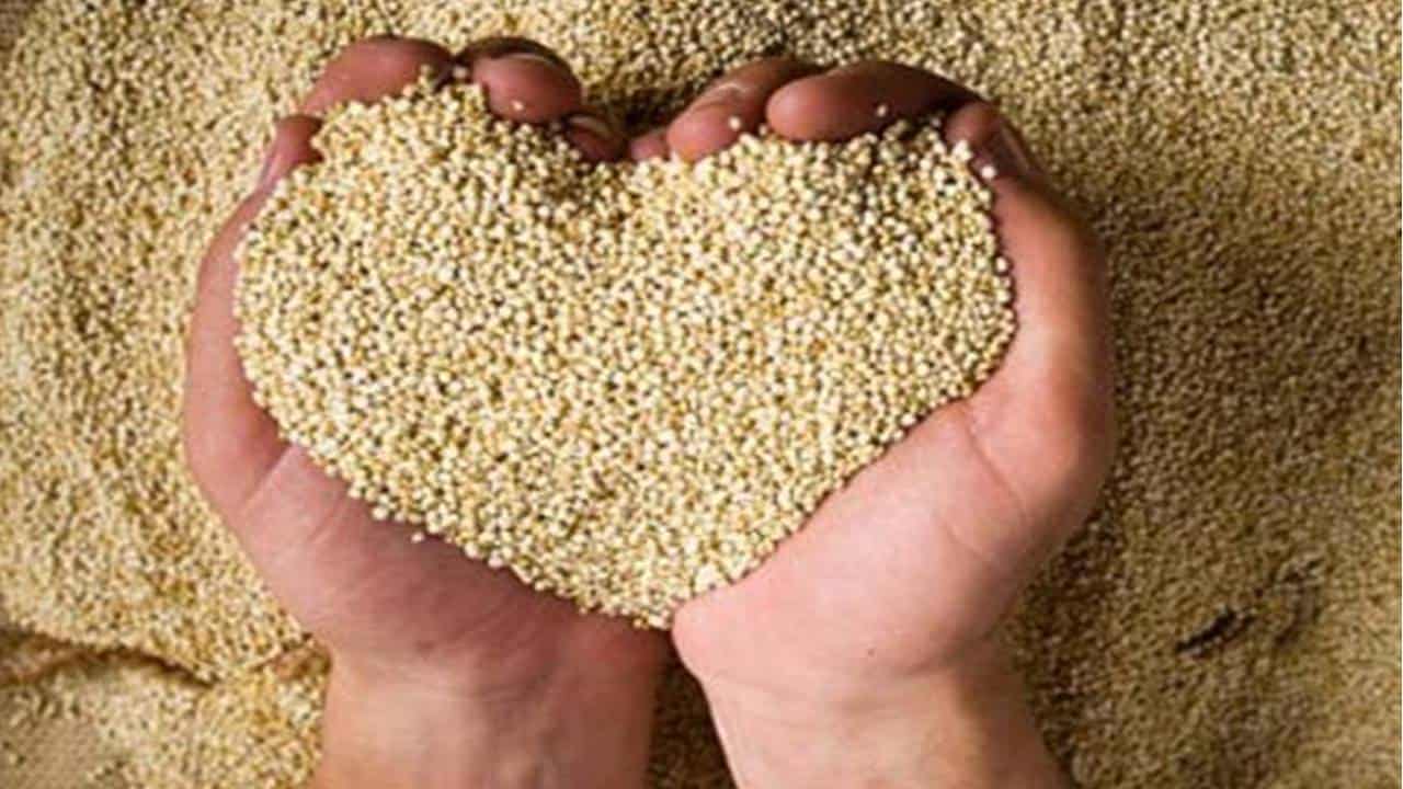 Descubra os benefícios da Quinoa pra pele e cabelo e veja como usar