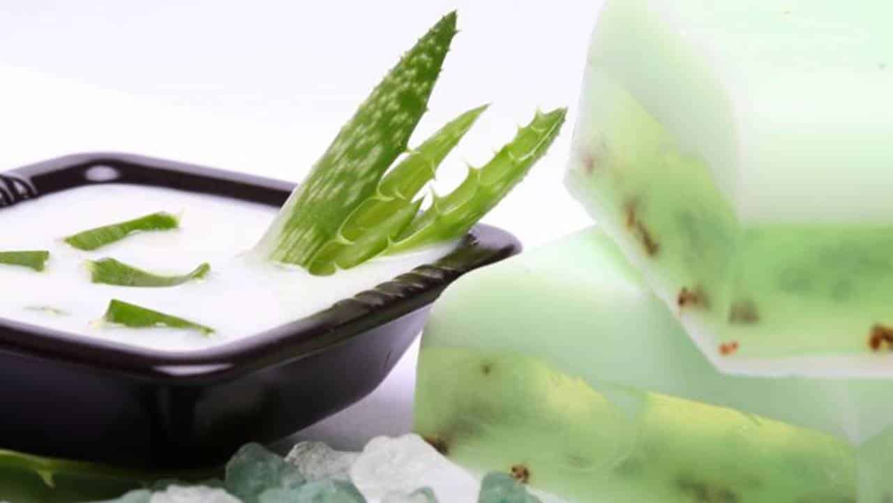 Esfoliante caseiro de aloe vera e flor de sabugueiro para cuidar da pele