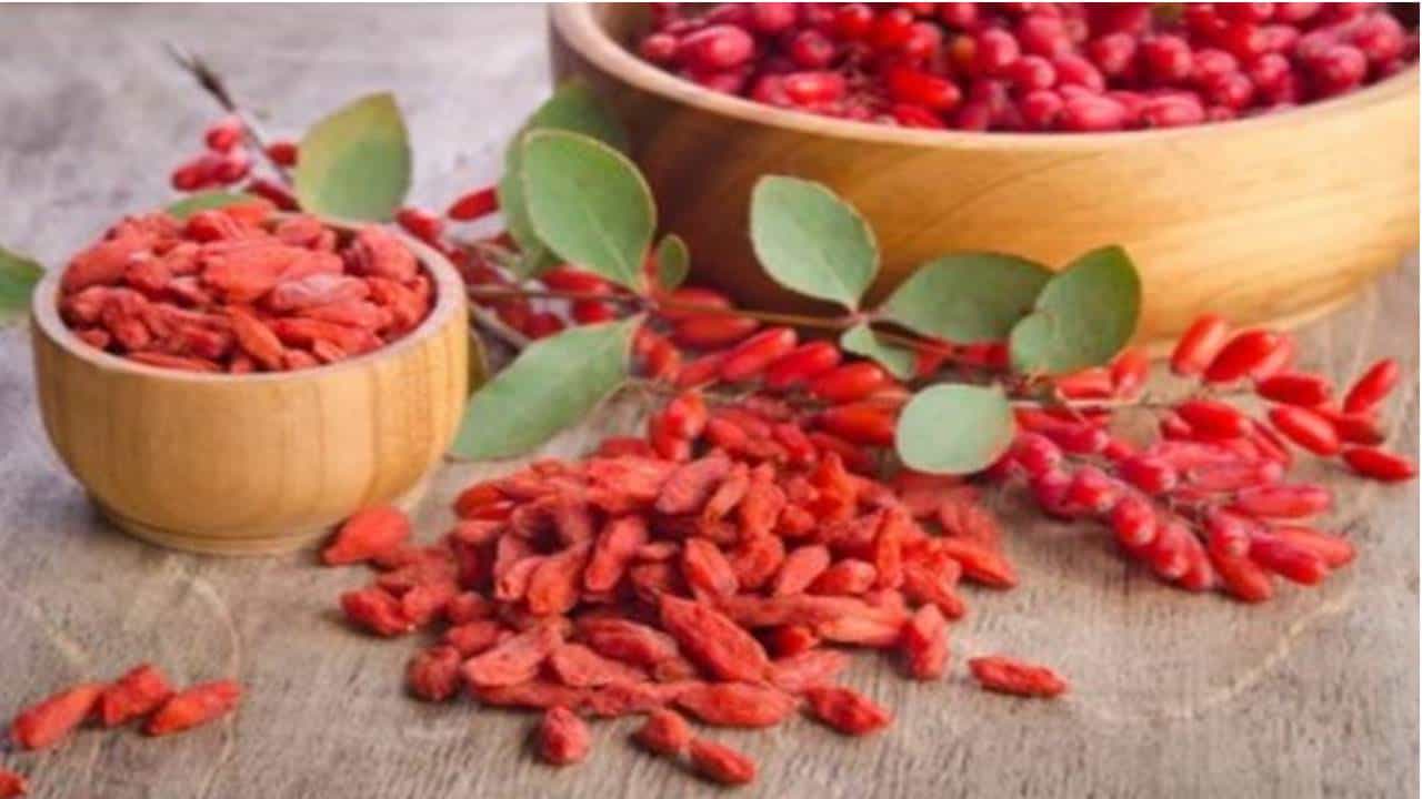 Descubra os benefícios do Goji Berry para a pele