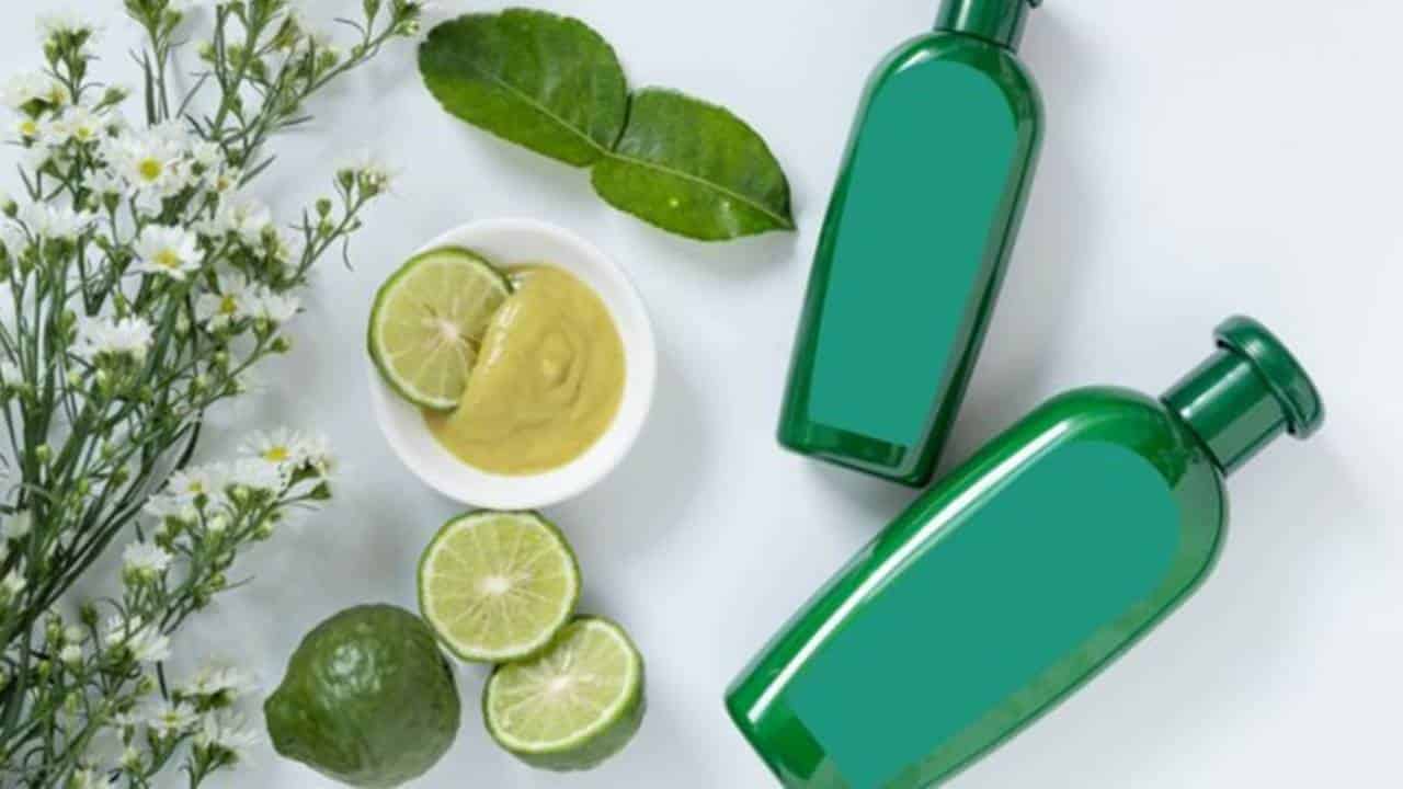 Como preparar um shampoo natural de plantas para cabelos oleosos