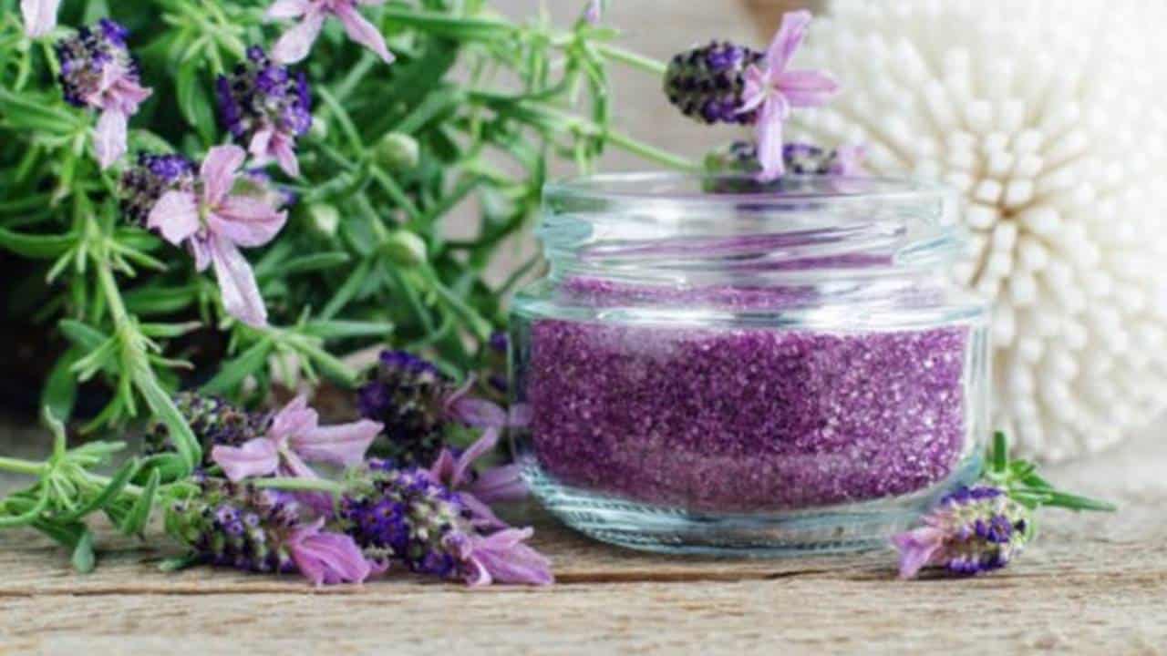 Esfoliante caseiro de lavanda: propriedades, benefícios e receitas