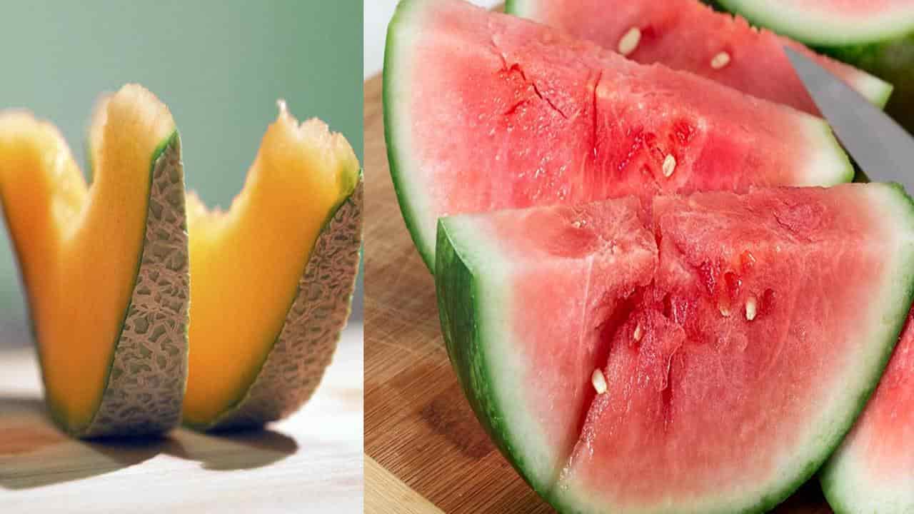 Qual é a melhor fruta para o café da manhã, melão ou melancia