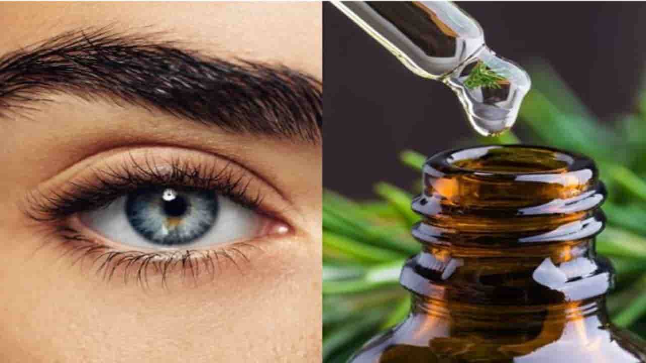 Descubra todos os benefícios colocar óleo de argan nas sobrancelhas