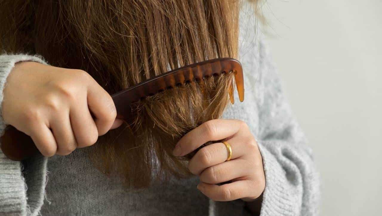 3 Soluções naturais para quem tem cabelos muito secos