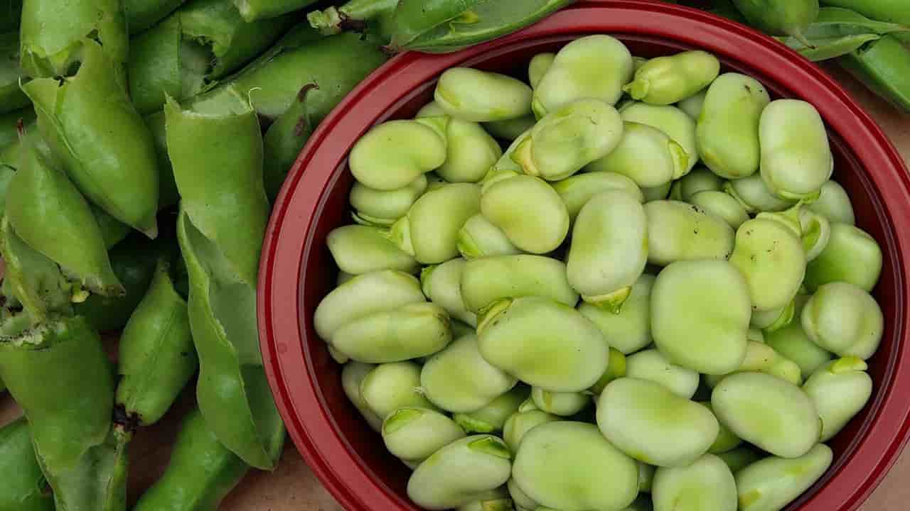 Sopa de favas, fácil e rápida que você pode preparar está receita em casa