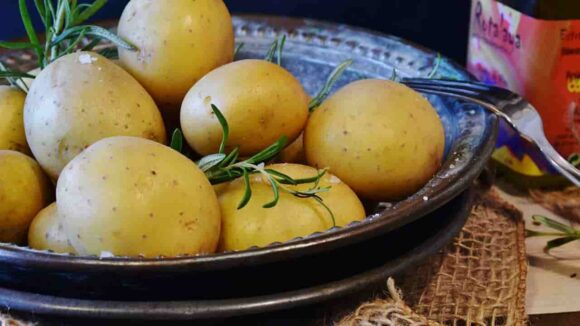 Nunca mais guarde batatas na geladeira: Saiba porque você NÃO DEVE fazer isso