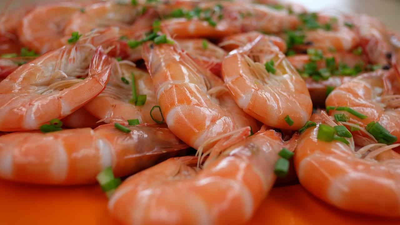 erros comuns ao cozinhar camarão
